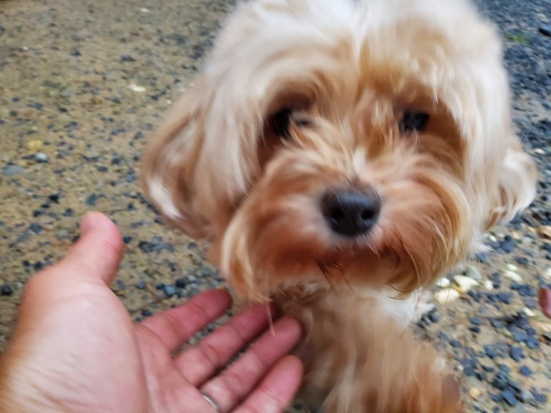 f:id:roukenhome-ann:20191019222750j:plain