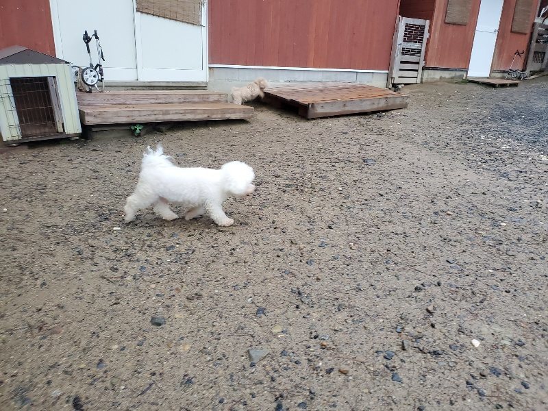 f:id:roukenhome-ann:20191019222859j:plain