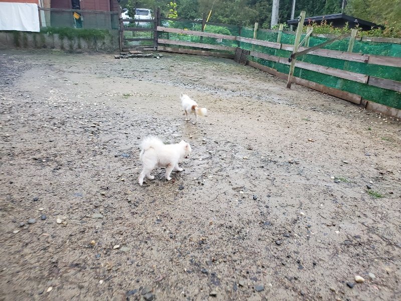 f:id:roukenhome-ann:20191019222917j:plain