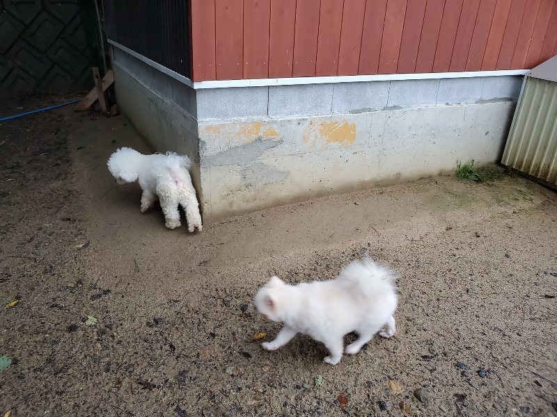 f:id:roukenhome-ann:20191019223002j:plain