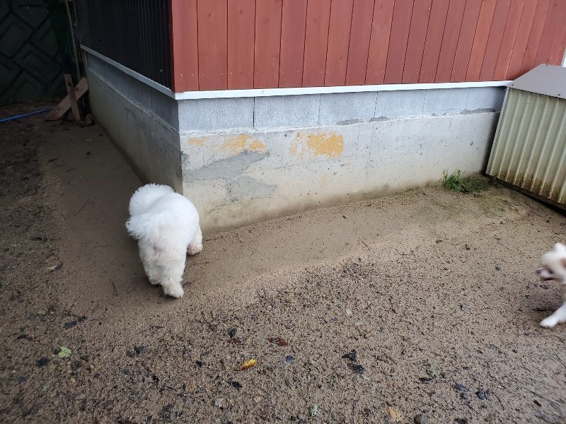 f:id:roukenhome-ann:20191019223012j:plain