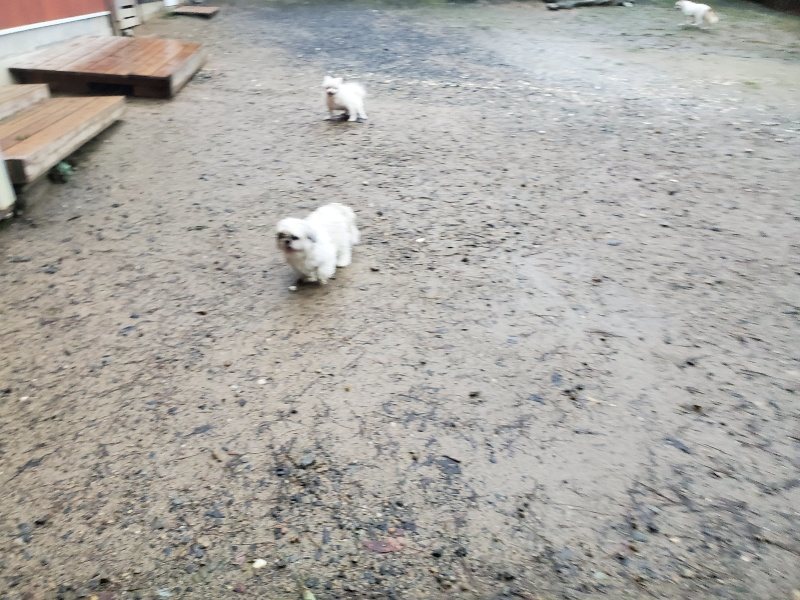 f:id:roukenhome-ann:20191019223022j:plain