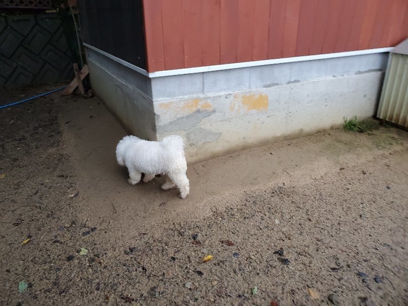 f:id:roukenhome-ann:20191019223039j:plain