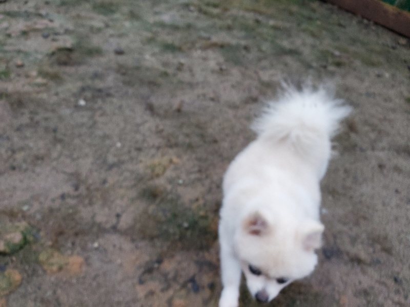 f:id:roukenhome-ann:20191019223405j:plain