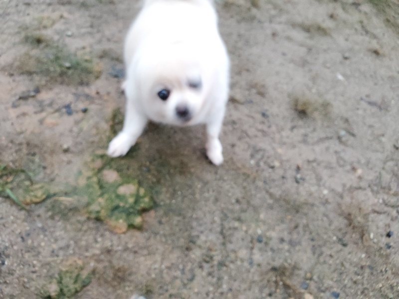 f:id:roukenhome-ann:20191019223411j:plain