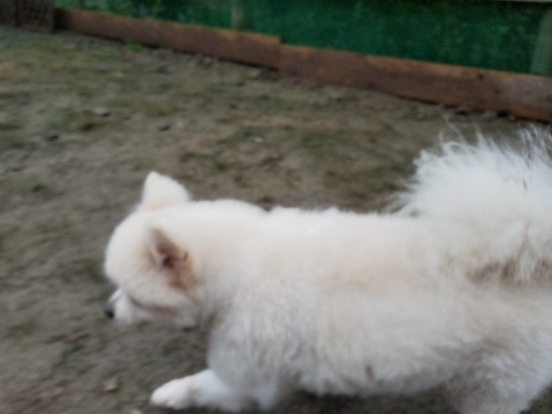 f:id:roukenhome-ann:20191019223417j:plain