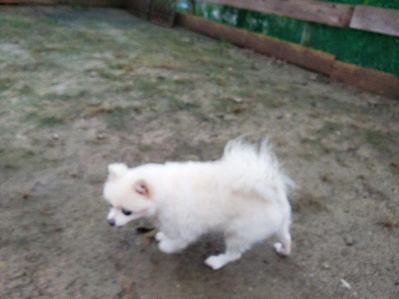f:id:roukenhome-ann:20191019223435j:plain