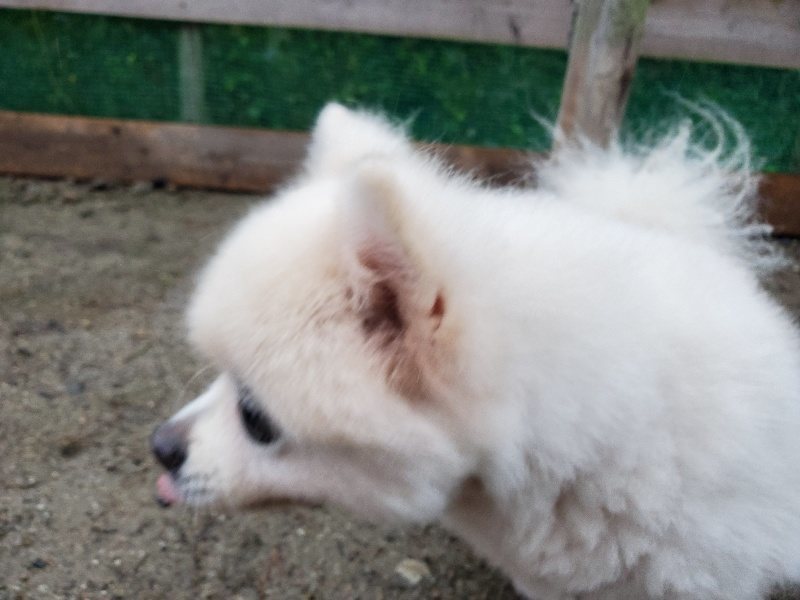 f:id:roukenhome-ann:20191019223446j:plain