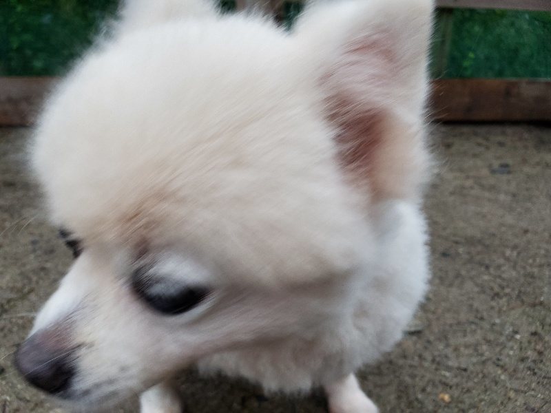 f:id:roukenhome-ann:20191019223500j:plain