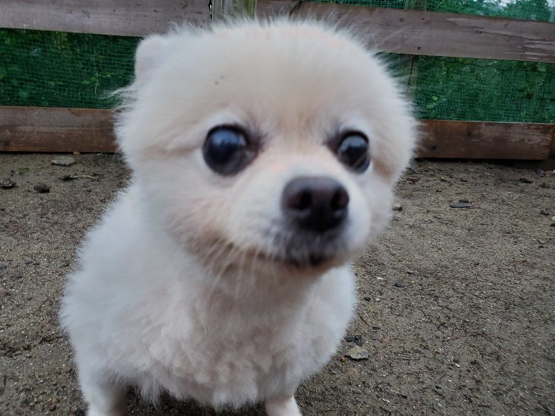 f:id:roukenhome-ann:20191019223520j:plain
