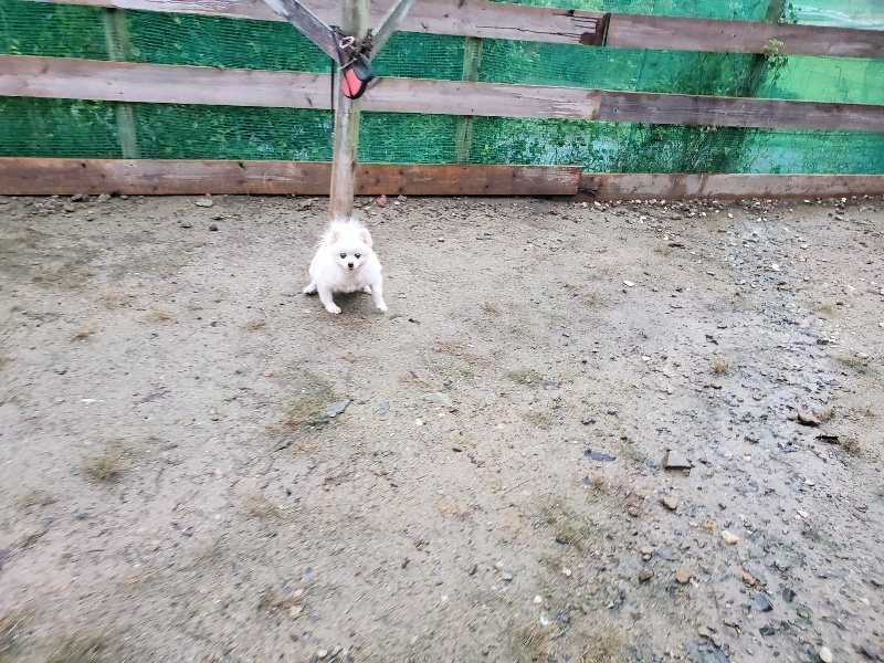 f:id:roukenhome-ann:20191019223527j:plain