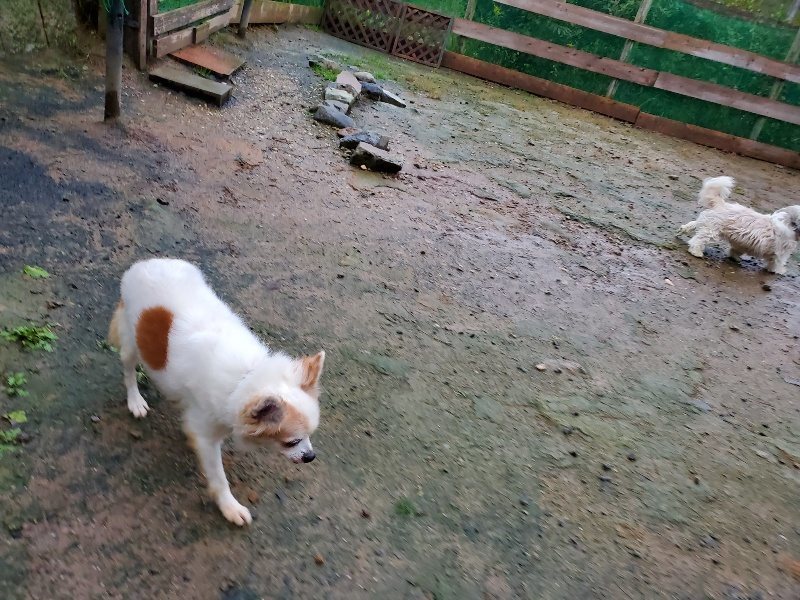 f:id:roukenhome-ann:20191019223542j:plain