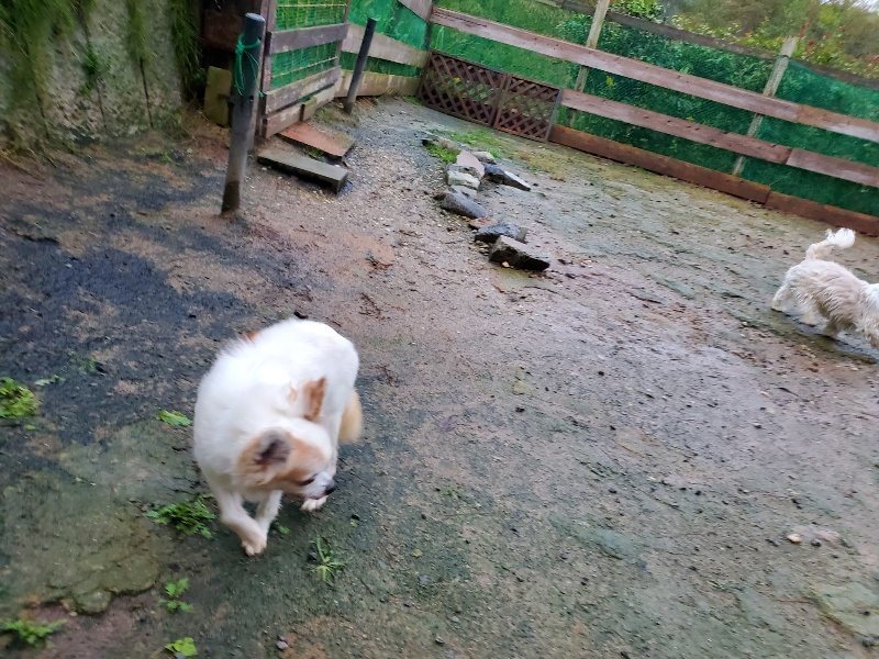 f:id:roukenhome-ann:20191019223606j:plain