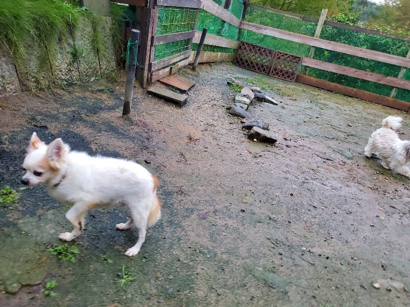 f:id:roukenhome-ann:20191019223641j:plain
