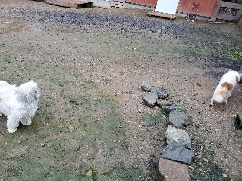 f:id:roukenhome-ann:20191019223707j:plain