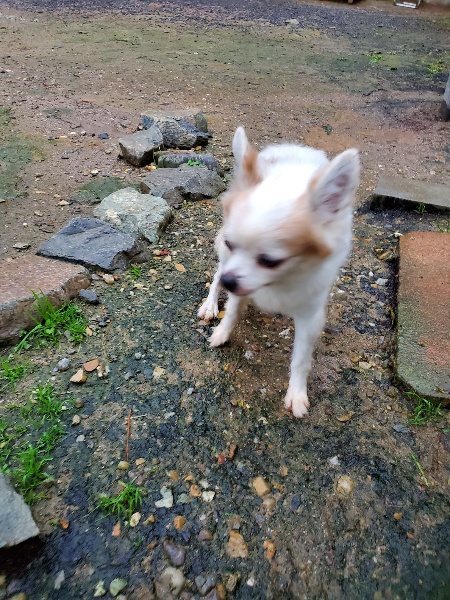 f:id:roukenhome-ann:20191019223728j:plain