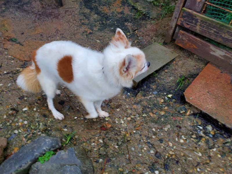 f:id:roukenhome-ann:20191019223801j:plain