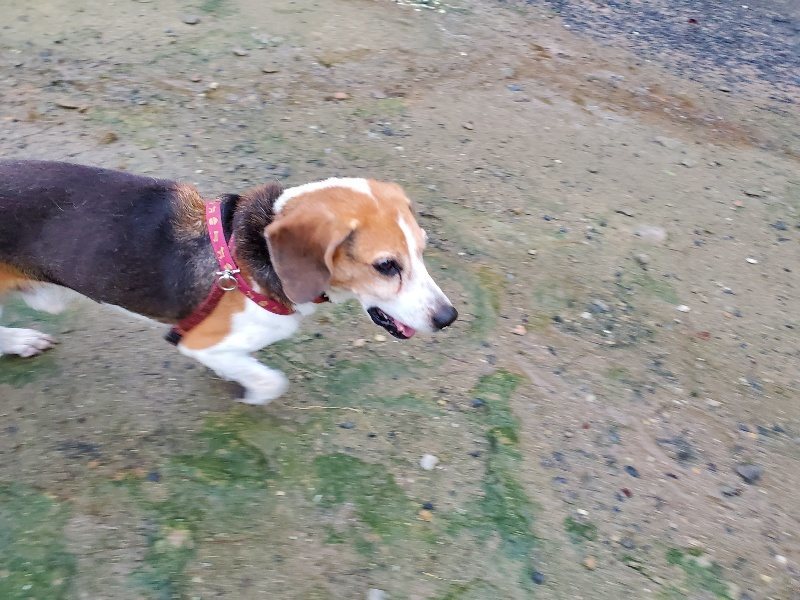 f:id:roukenhome-ann:20191019223819j:plain