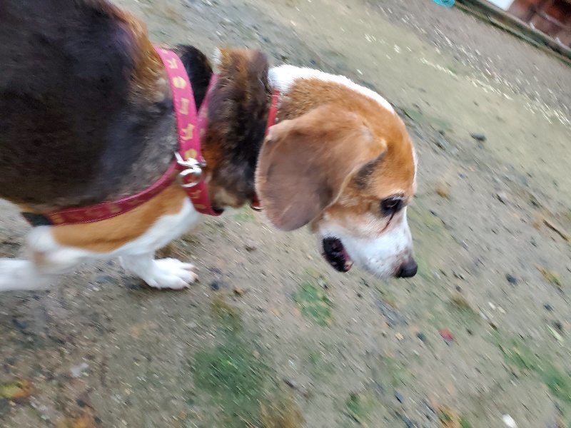 f:id:roukenhome-ann:20191019223828j:plain