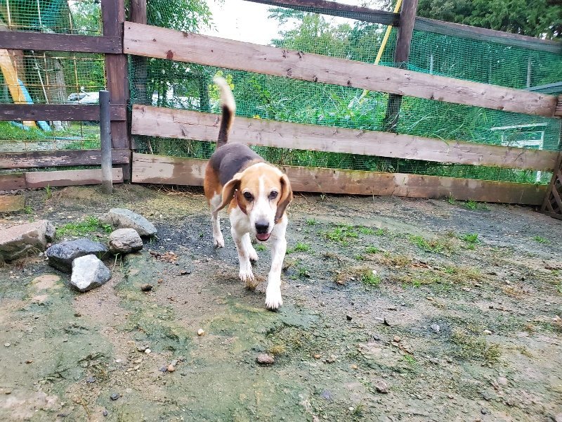 f:id:roukenhome-ann:20191019223856j:plain