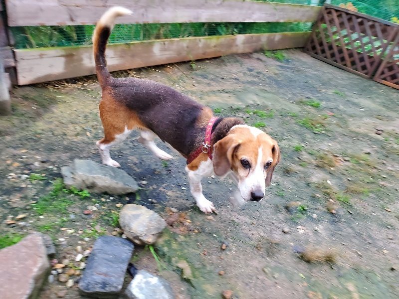 f:id:roukenhome-ann:20191019223942j:plain