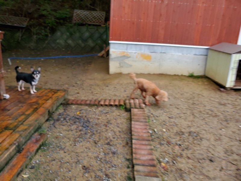 f:id:roukenhome-ann:20191020112943j:plain