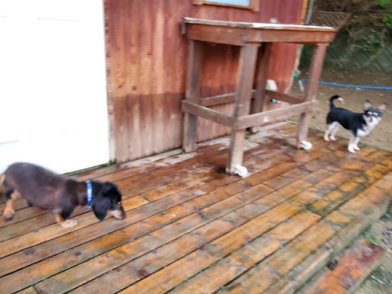f:id:roukenhome-ann:20191020112953j:plain