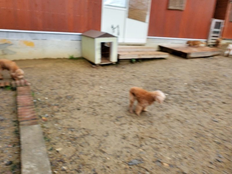 f:id:roukenhome-ann:20191020113003j:plain