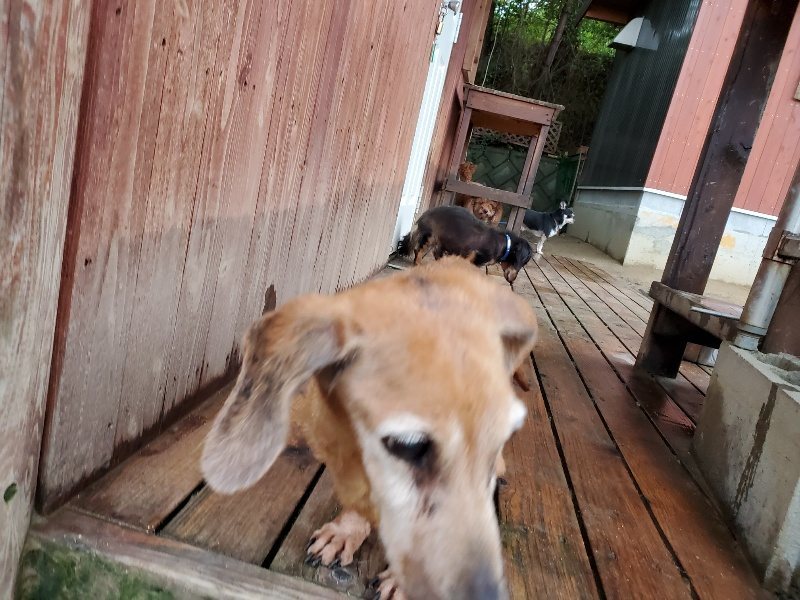 f:id:roukenhome-ann:20191020113035j:plain