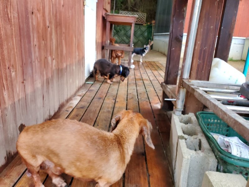 f:id:roukenhome-ann:20191020113042j:plain