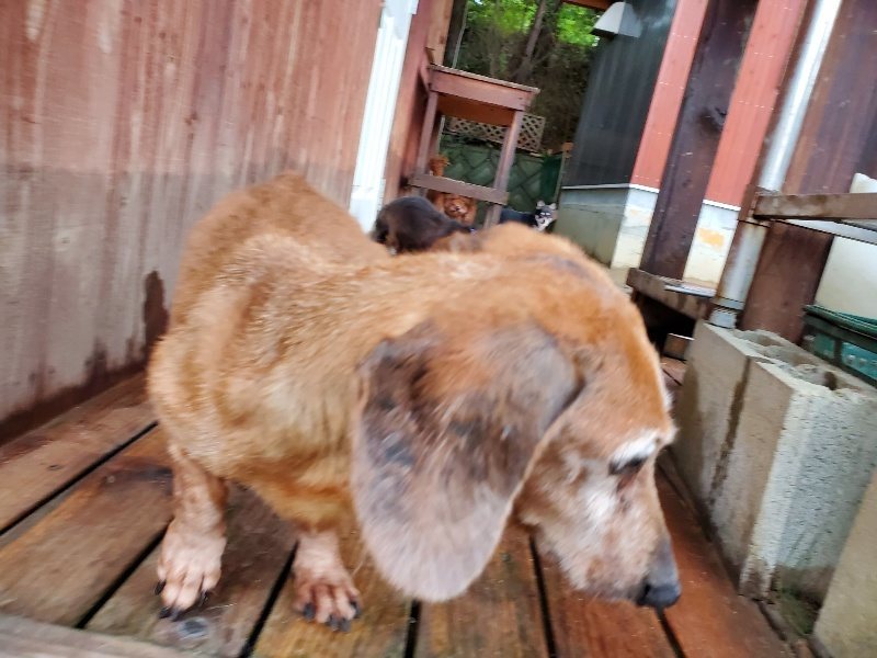 f:id:roukenhome-ann:20191020113059j:plain
