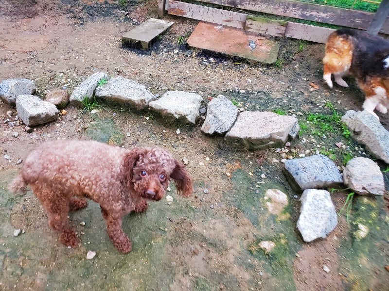 f:id:roukenhome-ann:20191020113238j:plain