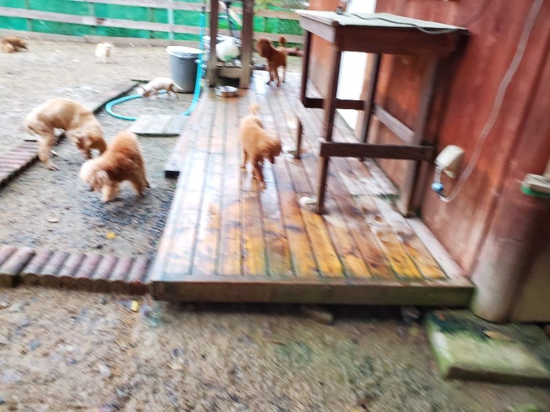 f:id:roukenhome-ann:20191020113730j:plain