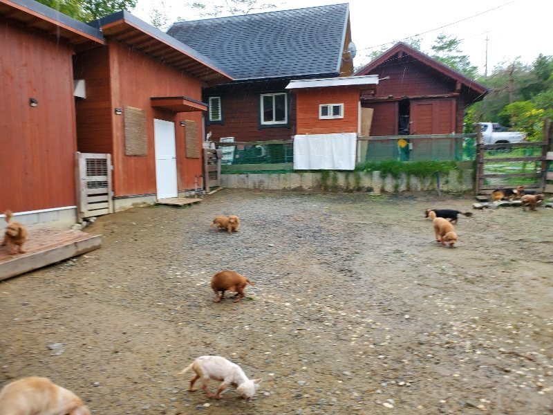 f:id:roukenhome-ann:20191020113828j:plain