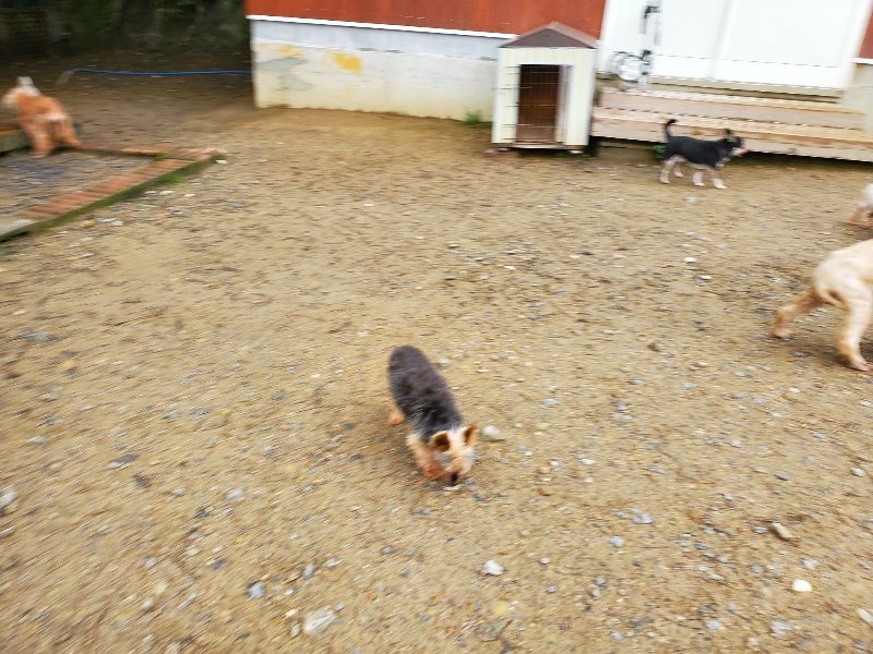 f:id:roukenhome-ann:20191020113904j:plain