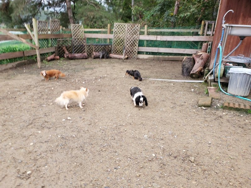 f:id:roukenhome-ann:20191020113933j:plain