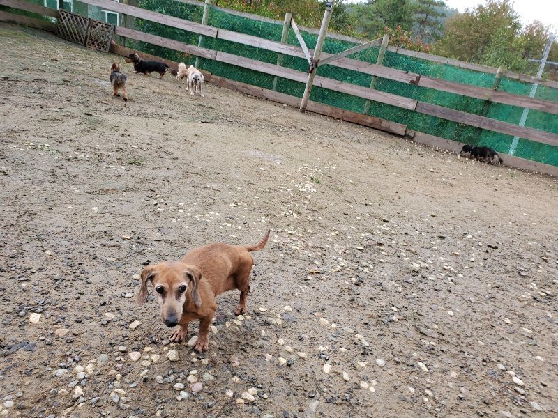 f:id:roukenhome-ann:20191020114059j:plain