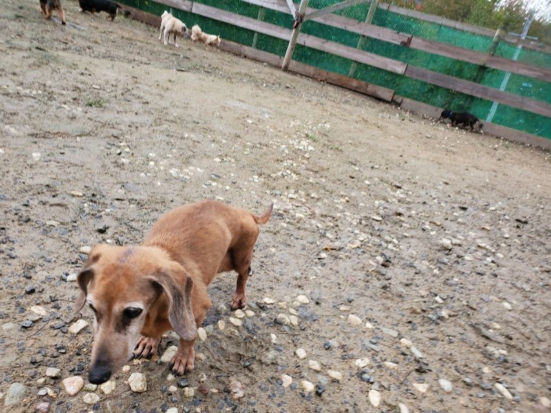 f:id:roukenhome-ann:20191020114131j:plain