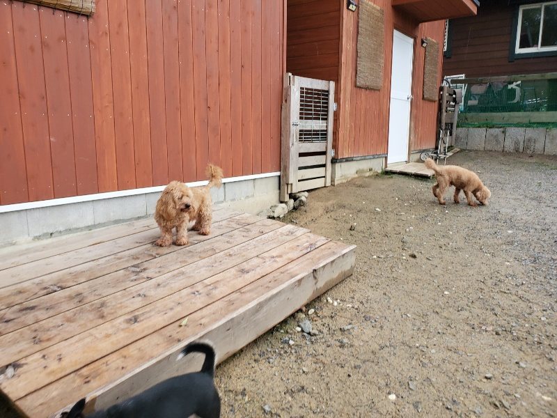 f:id:roukenhome-ann:20191020114209j:plain