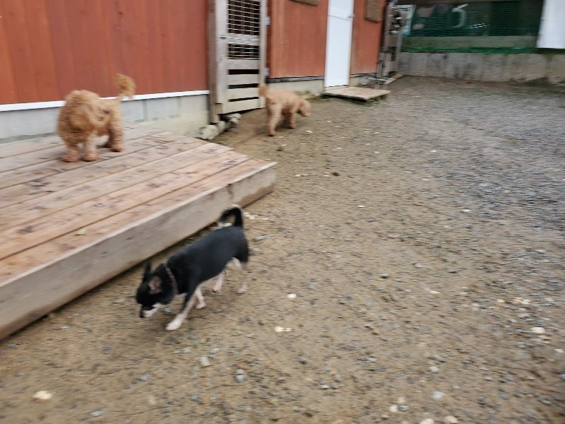 f:id:roukenhome-ann:20191020114223j:plain