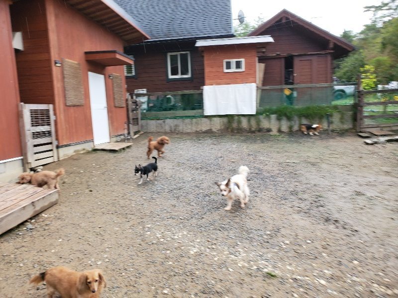 f:id:roukenhome-ann:20191020114300j:plain