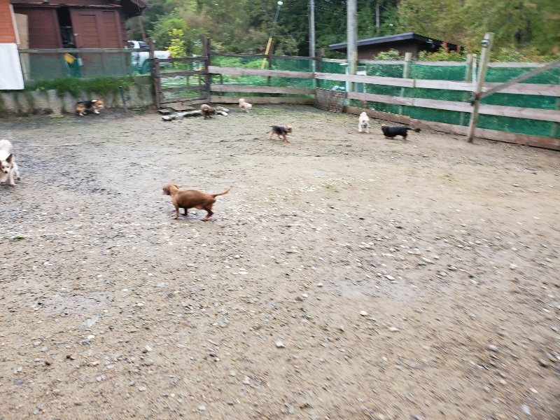 f:id:roukenhome-ann:20191020114322j:plain