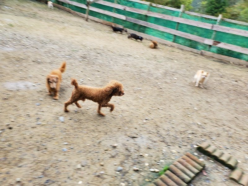 f:id:roukenhome-ann:20191020114413j:plain