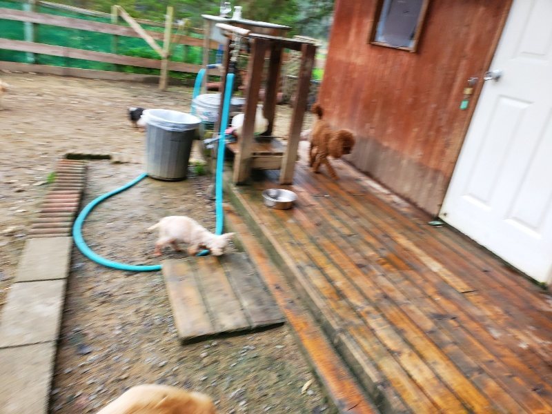f:id:roukenhome-ann:20191020114434j:plain