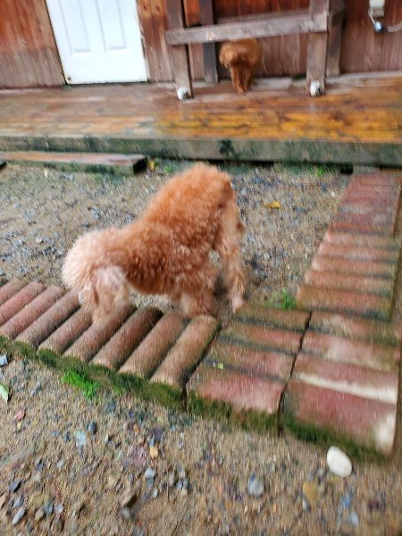 f:id:roukenhome-ann:20191020121848j:plain