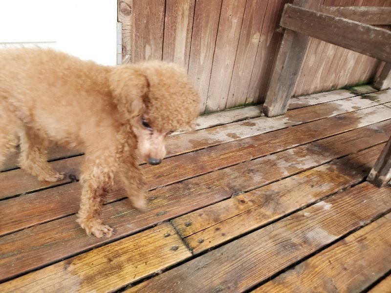 f:id:roukenhome-ann:20191020122055j:plain