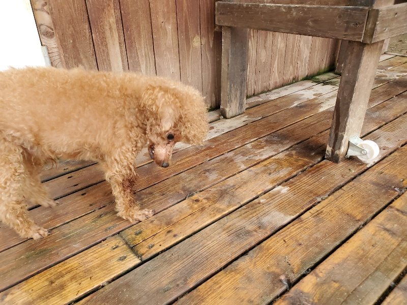 f:id:roukenhome-ann:20191020122102j:plain