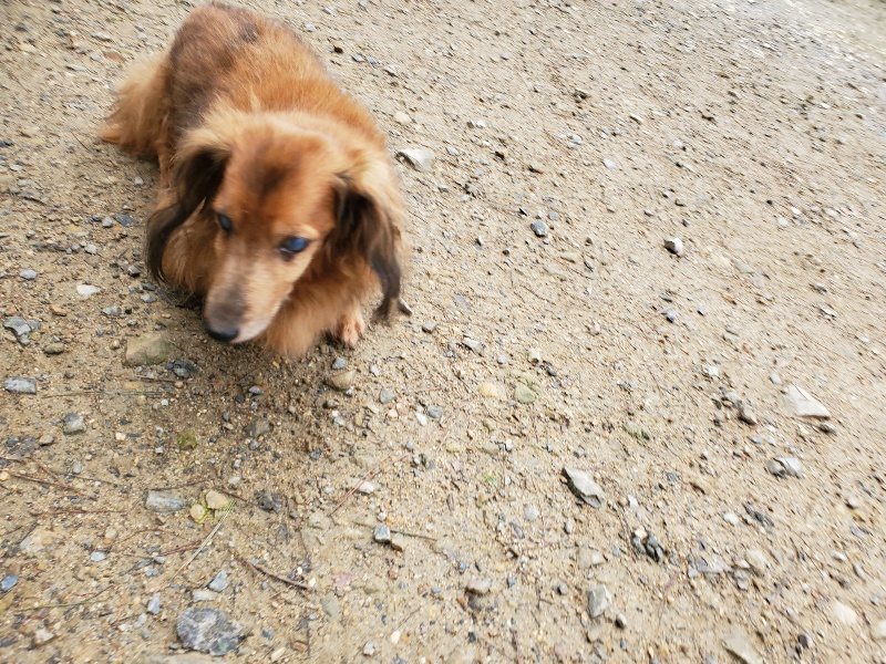 f:id:roukenhome-ann:20191020122234j:plain