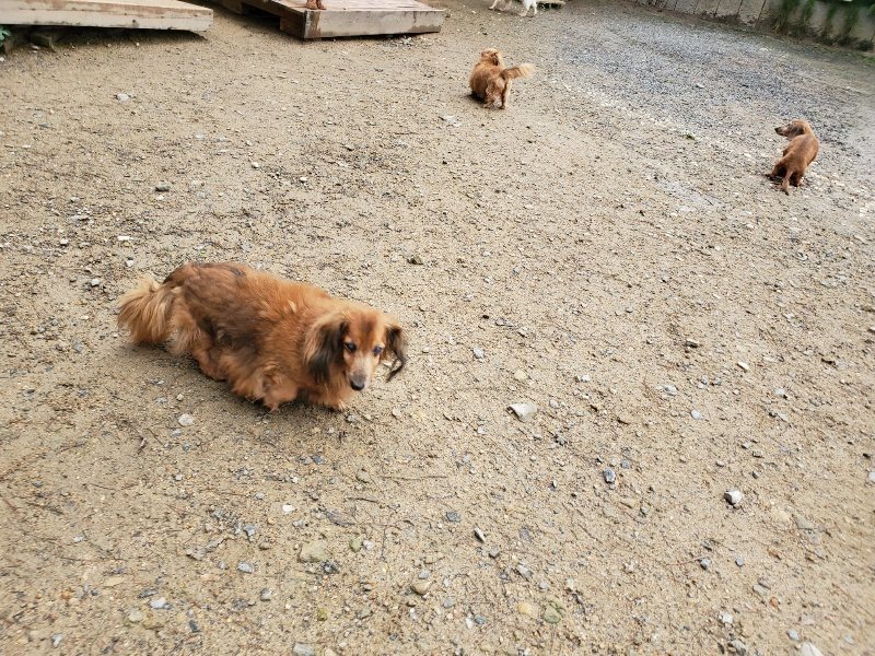 f:id:roukenhome-ann:20191020122315j:plain