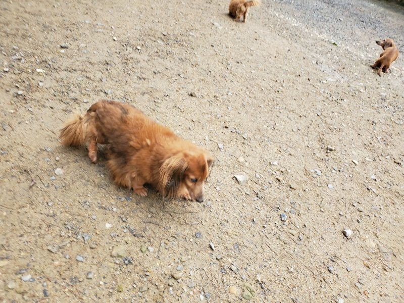 f:id:roukenhome-ann:20191020122331j:plain